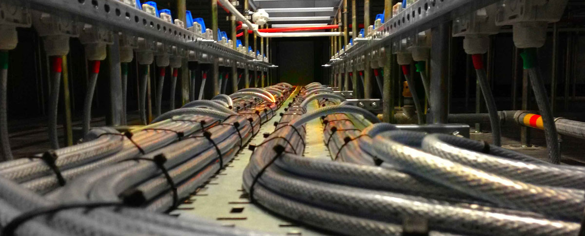 Commercial Services